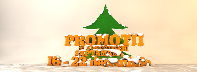 decembrie_16-22_1_0622