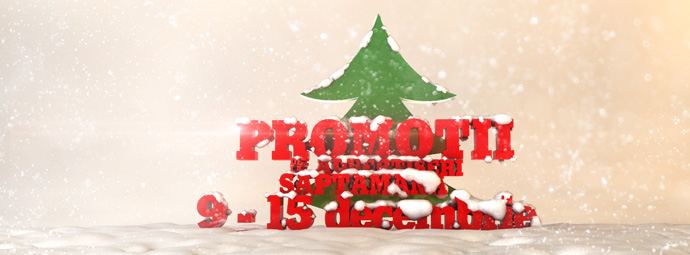 decembrie_9-15-2_0622